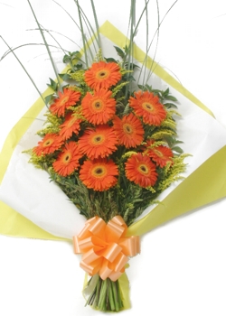 Envio y venta de flores ,rosas, plantas,arreglos florales ,regalos y desayunos a domicilio con delivery gratis en la Ciudad Autonoma de Buenos Aires y con costo de env�o en localidades del Gran Buenos Aires asi como delivery de flores y plantas a trav�s de florerias asociadas en todas las provincias de la Argentina, Buenos Aires, la Pampa, Tucuman, La Rioja, R�o Negro, Entre Rios, Corrientes, Misiones, Neuquen, Chubut, Tierra del Fuego, Santa Cruz, San Luis, Mendoza, Cordoba, Jujuy, Formosa, Santiago del Estero, Salta, Chaco, Catamarca ,San Juan, y ademas realizamos el delivery de flores ,coronas,palmas , plantas y regalos a todas las ciudades de Argentina, Mar del Plata, C�rdoba, Buenos Aires, con cargo en Santa Rosa, La Plata, Bella Vista, Neuquen, Pilar, Paran�, Posadas, Resistencia, Cipolleti y mas de 300 ciudades y localidades en todo el territorio de nuestro pa�s, asi como tambien tenemos la posibilidad de enviar flores a casi todo el mundo en cuestion de horas